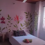 Habitacion Paraiso