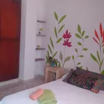 Habitacion Paraiso